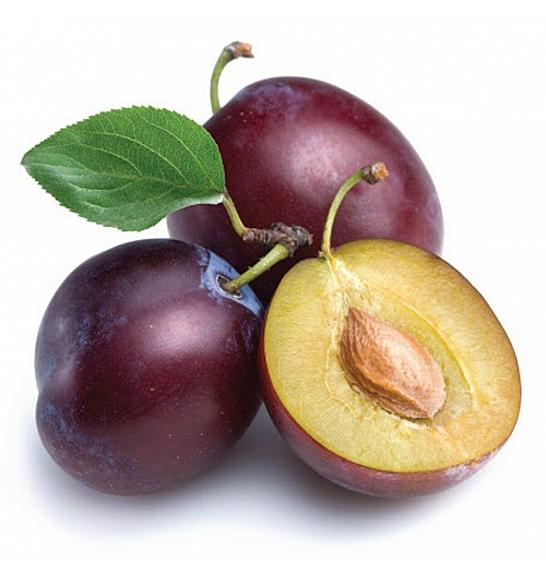 Prunus domestica Jubileum C5 Lit. 80-100 cm Patio