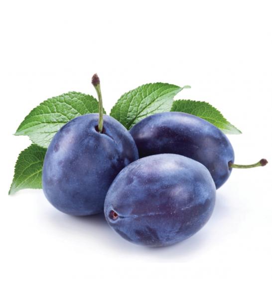 Prunus domestica Imperial C5 Lit. 60-80 cm Stebričasta