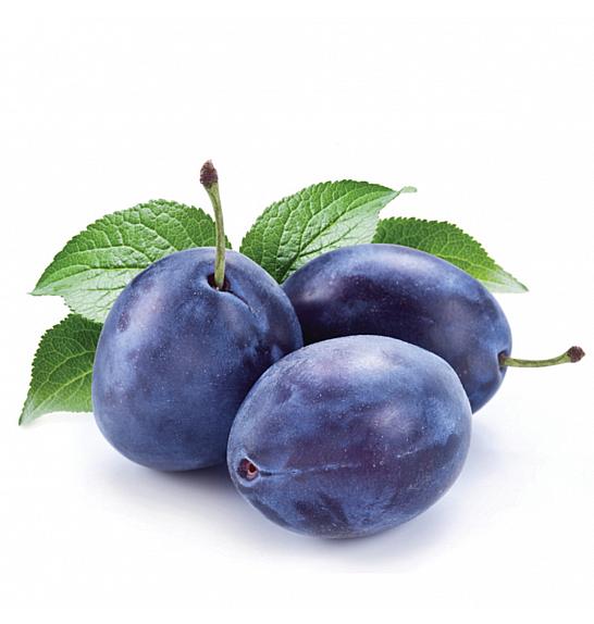 Prunus domestica Imperial C5 Lit. 60-80 cm Stupolik