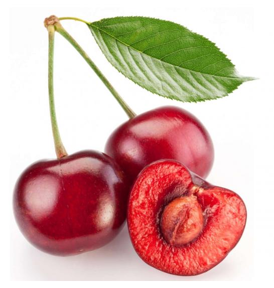 Prunus avium Sylvia C5 Lit. 60-80 cm Stebričasta