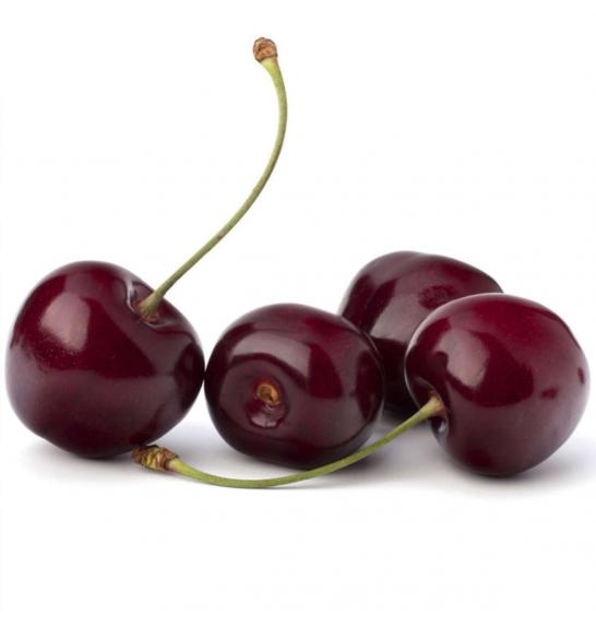 Prunus avium Sunburst C7,5 Lit. 175-200 cm Na steblu 100 cm (16544)
