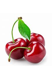 Prunus avium Stella Compact C5 Lit. 60-80 cm Na stabljici