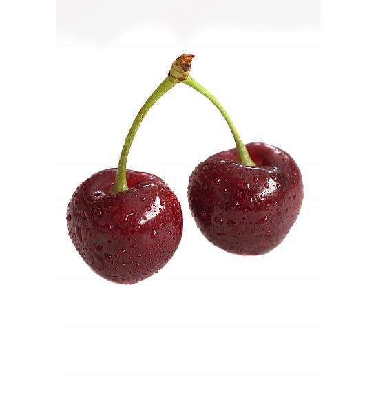 Prunus avium Regina C5 Lit. 80-100 cm