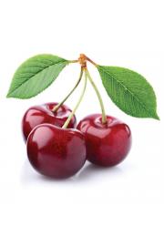 Prunus avium Kordia C7,5 Lit. 175-200 cm Na steblu 100 cm