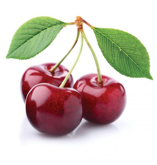 Prunus avium Kordia C7,5 Lit. 175-200 cm Na steblu 100 cm