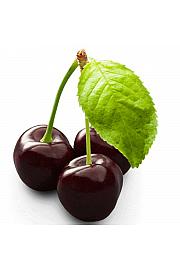 Prunus avium Grosse Schwarze Knorpelkirsche C5 Lit. 80-100 cm Patio