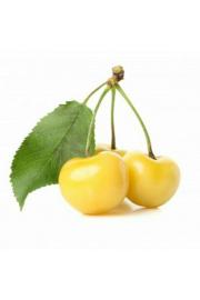 Prunus avium Dönissens Gelbe C7,5 Lit. 175-200 cm Na steblu 100 cm
