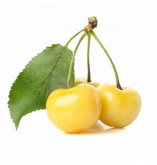 Prunus avium Dönissens Gelbe C5 Lit. 80-100 cm Patio (35460)