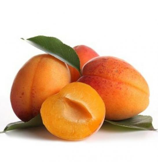 Prunus armeniaca Ungarische Beste C10 Lit. 150-175 cm