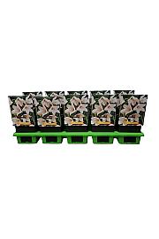 Platycodon grandiflorus Pink Ø11