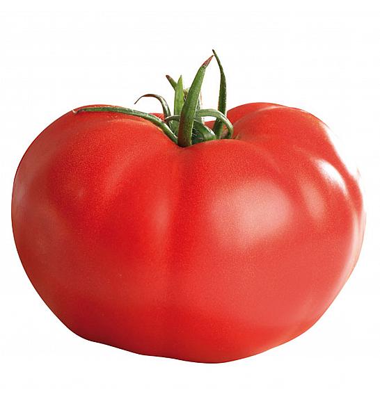 Rajčica SUPER STEAK F1 Ø10.5
