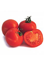 Paradižnik Previa F1 Ø10,5