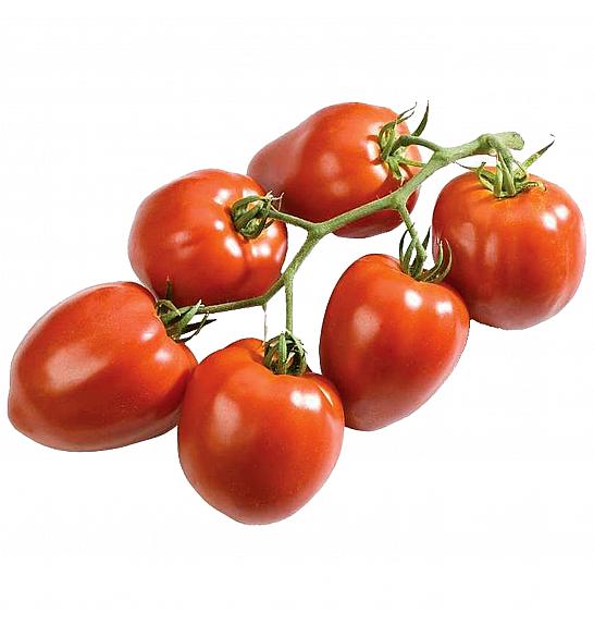 Rajčica Fleurette F1 Ø10.5