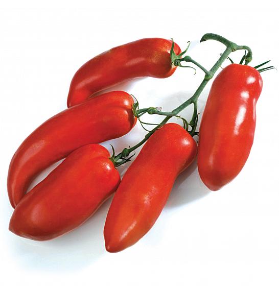 Rajčica Cornabele F1 Ø10.5