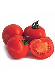 Rajčica CE Previa F1 Ø13