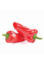 Paprika Snackly Red Ø10,5