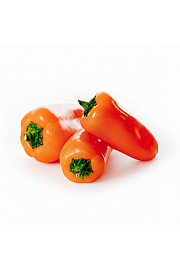 Paprika Snackly Orange F1 Ø10,5