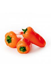 Paprika Snackly Orange F1 Ø10.5