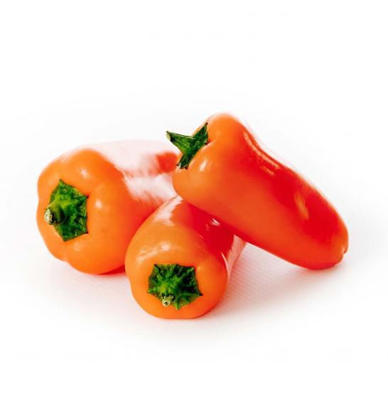 Paprika Snackly Orange F1 Ø10.5
