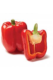 Crvena paprika izlaska sunca Ø10.5