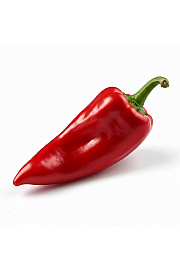 Paprika from Heaven Red Ø10,5