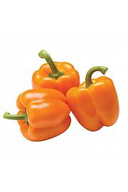 Paprika Narančasti Zalazak Sunca Ø10.5