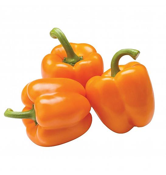Paprika Narančasti Zalazak Sunca Ø10.5