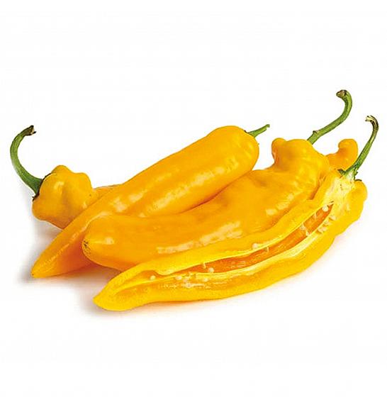 Papar s medom Dugi (žuti) Ø10.5