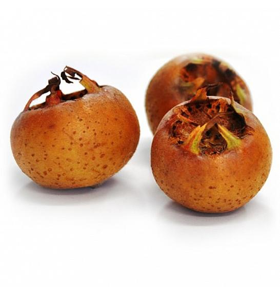 Mespilus germanica Westerveld C7.5 Lit. 125-150 cm