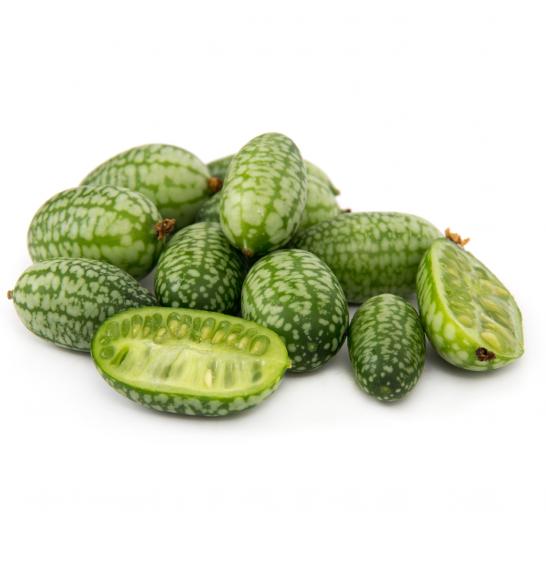 Melothia scabra Solana Mehiška kumarica Ø10,5