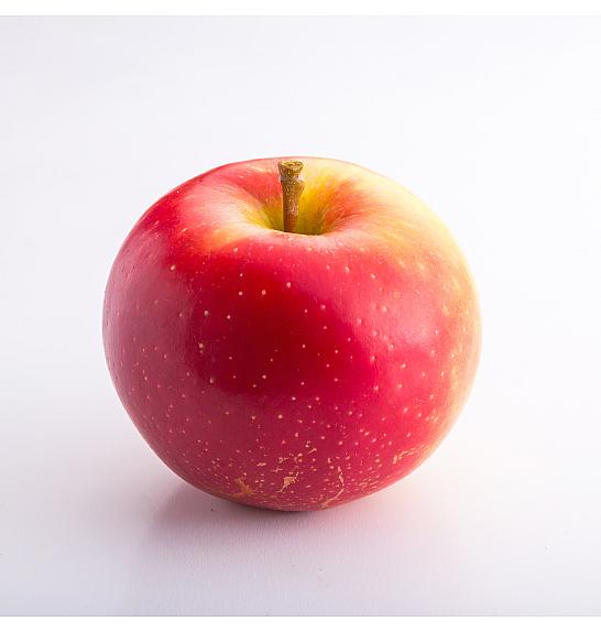 Malus domestica Waltz C5 Lit. 50-60 cm Stebričasta