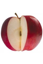 Malus domestica Starcats C5 Lit. 50-60 cm Stebričasta