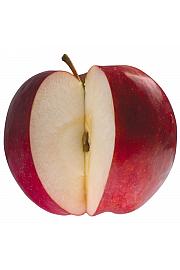 Malus domestica Starcats C5 Lit. 50-60 cm stupast