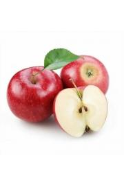 Malus domestica Redcats C5 Lit. 50-60 cm Stebričasta