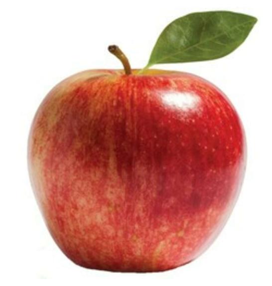 Malus domestica Red Leaf C5 Lit. 80-100 cm Stebričasta