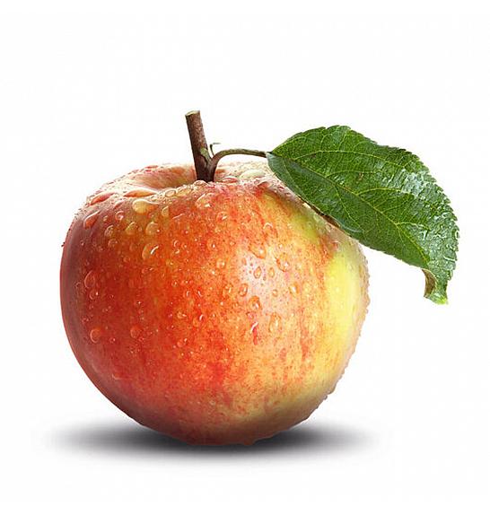 Malus domestica Polka C5 Lit. 50-60 cm Stebričasta