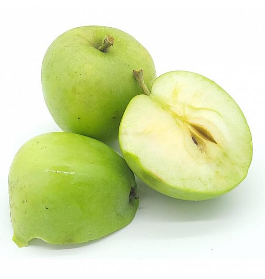 Malus domestica Greencats C5 Lit. 50-60 cm Stupasta