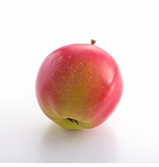 Malus domestica Flamenco C5 Lit. 50-60 cm Stebričasta