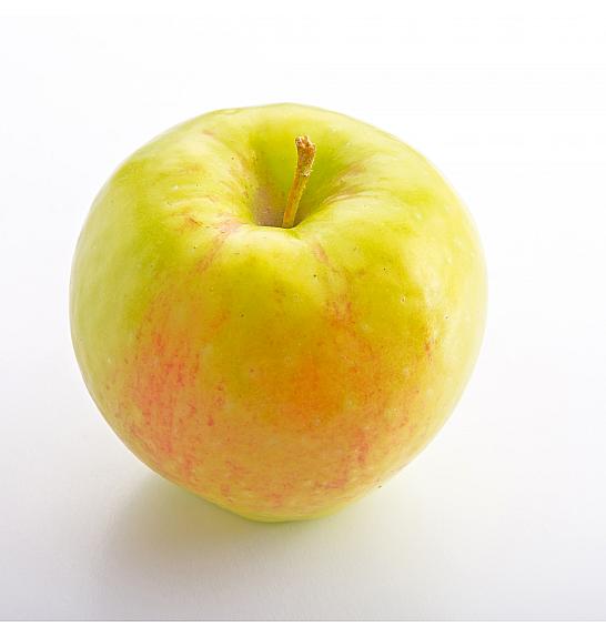 Malus domestica Bolero C5 Lit. 50-60 cm Stebričasta