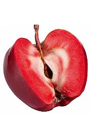 Malus domestica Vampira C5 Lit. 60-80 cm Na stabljici