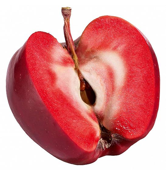 Malus domestica Vampira C5 Lit. 60-80 cm Na stabljici