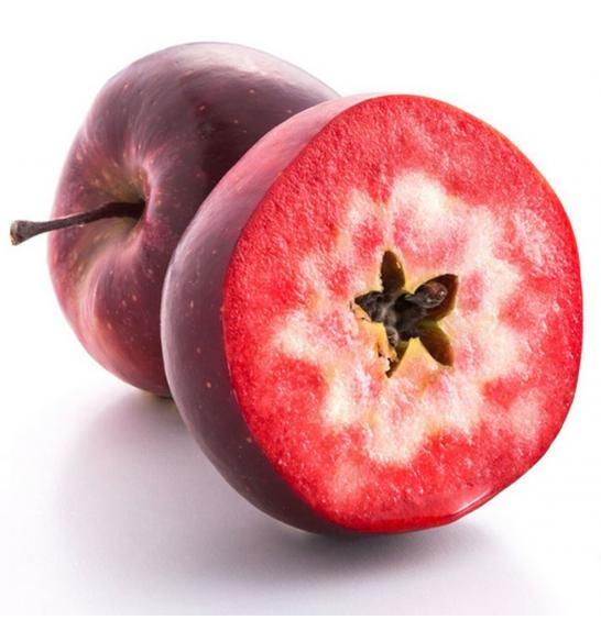 Malus domestica Vampira C10 Lit. 125-150 cm