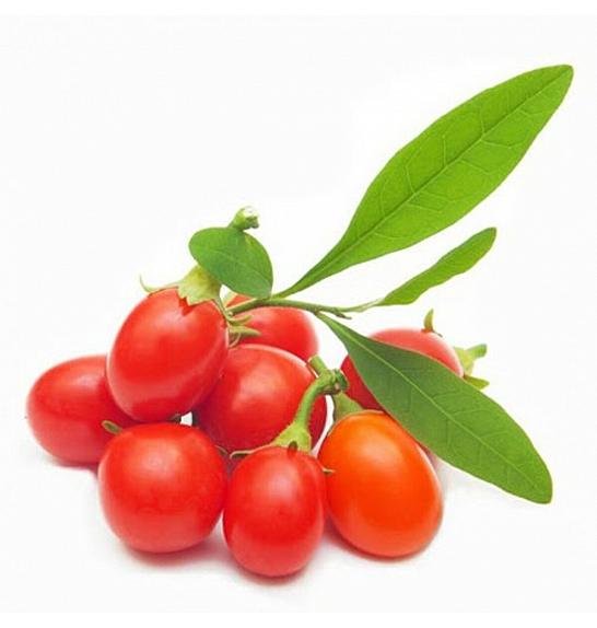 Lycium barbarum C2 Lit. 30-40 cm