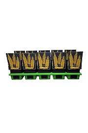 Lupinus The Chandelier Ø11