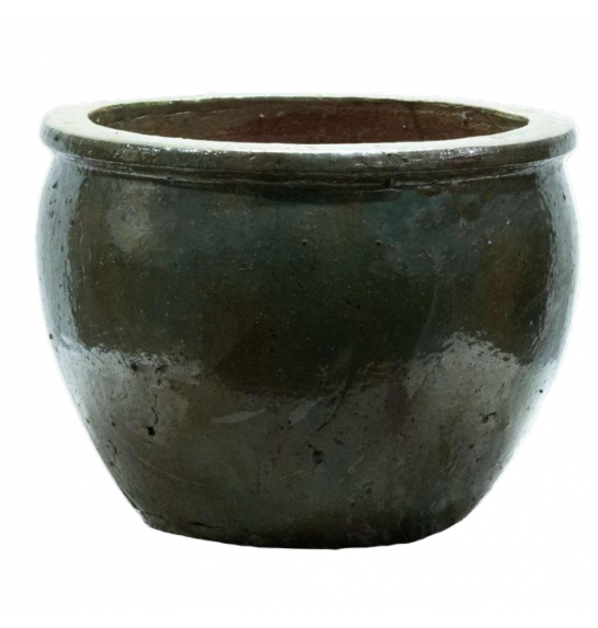 Lonec Zelena;D55H42;5116240