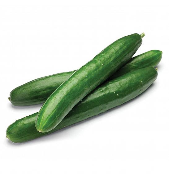 Krastavac Tasty Green F1 Ø10.5