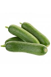 Krastavac CE Baby Rocky F1 Ø13