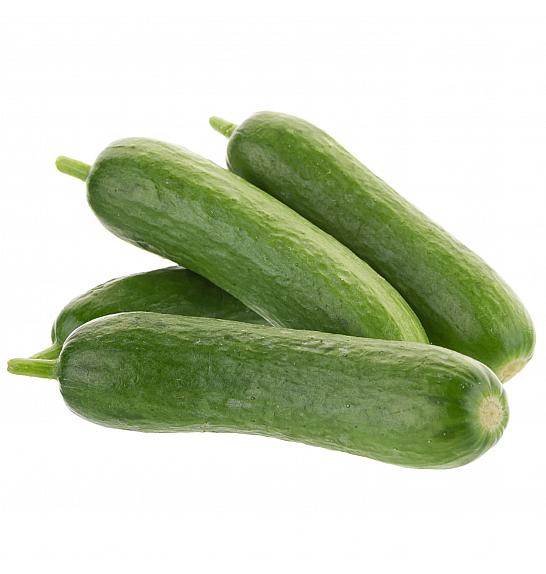 Krastavac CE Baby Rocky F1 Ø13