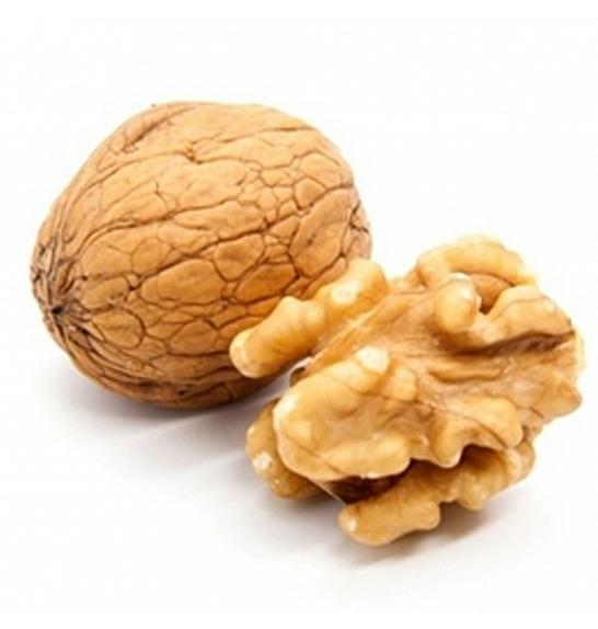 Juglans regia Buccaneer C5 Lit. 80-100 cm (35457)