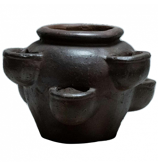 Kamen stabla jagode;D43H31;5141455